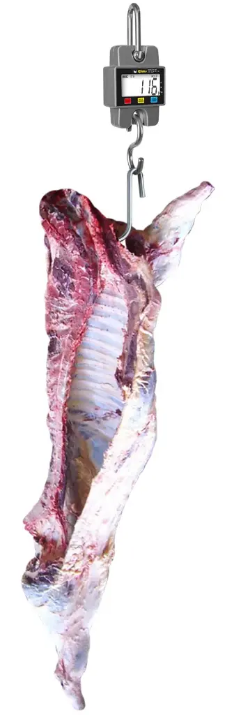 Rhino-BAC-300-Bascula-Electronica-Colgante-Multifunciones-300-Kg-2.webp